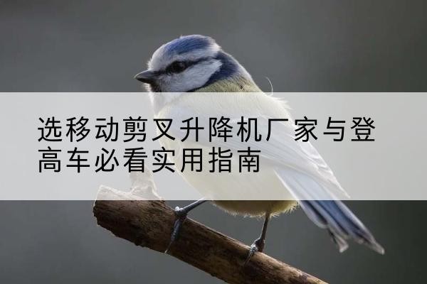 沂南电动升降机厂家-选移动剪叉升降机厂家与登高车必看实用指南