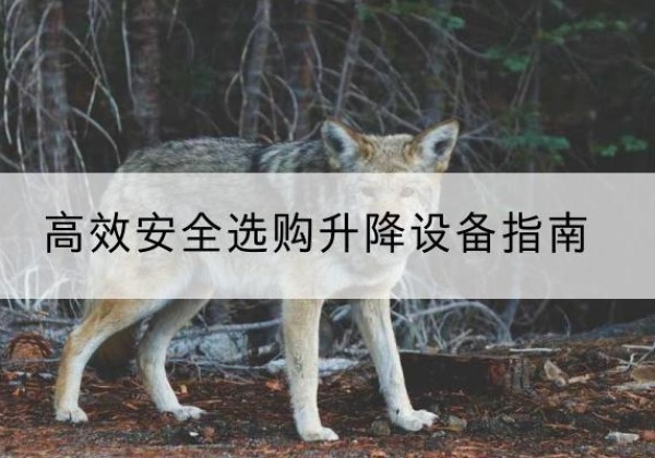 沂南升降货梯厂家推荐-*安全选购升降设备指南