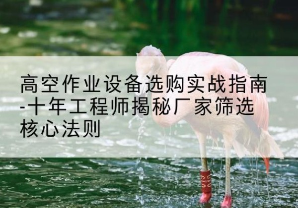 沂南剪叉式升降机厂家-高空作业设备选购实战指南-十年工程师揭秘厂家筛选核心法则